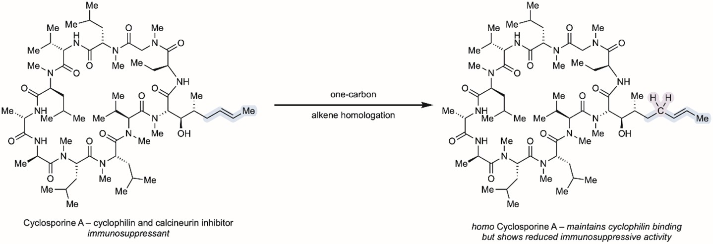 Grocott and Gaunt paper: 'One-Carbon homologation of alkanes'